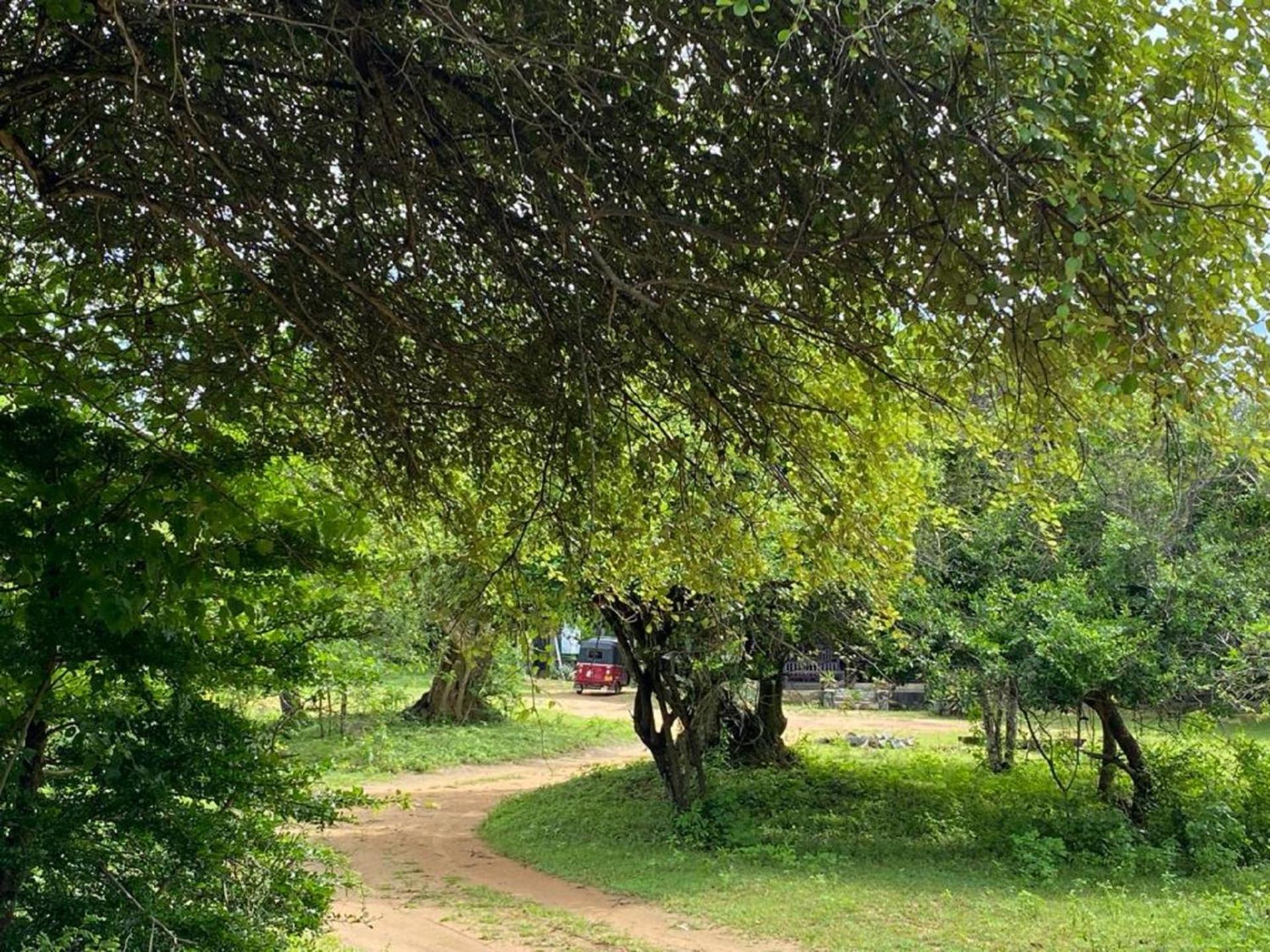 Yala Ying Yang Hostel & Camping Exterior photo