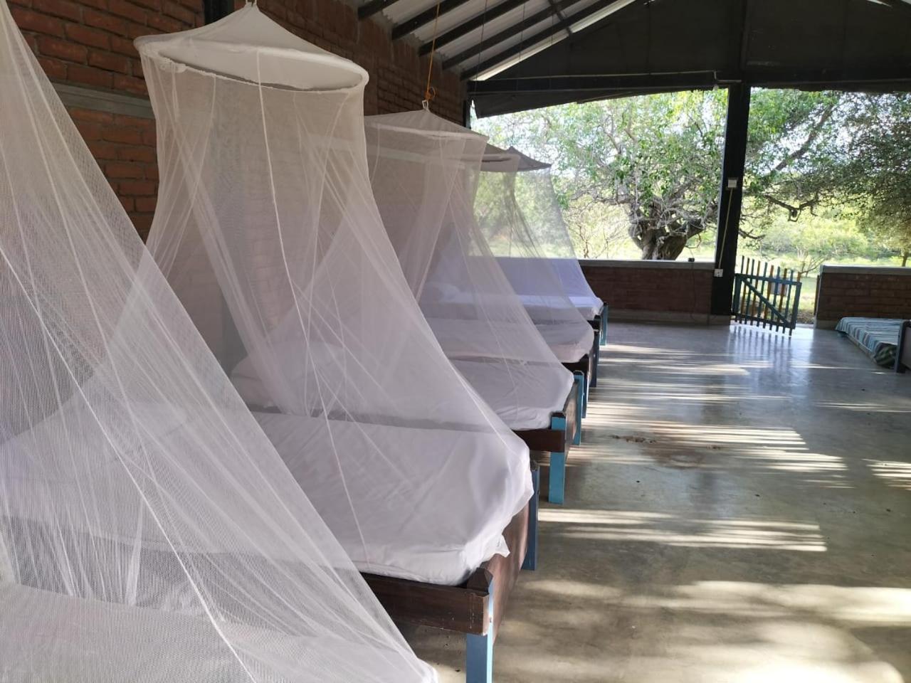Yala Ying Yang Hostel & Camping Exterior photo